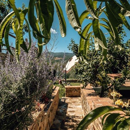 Ferienwohnung Little Val D'Orcia Montenero d'Orcia Exterior foto