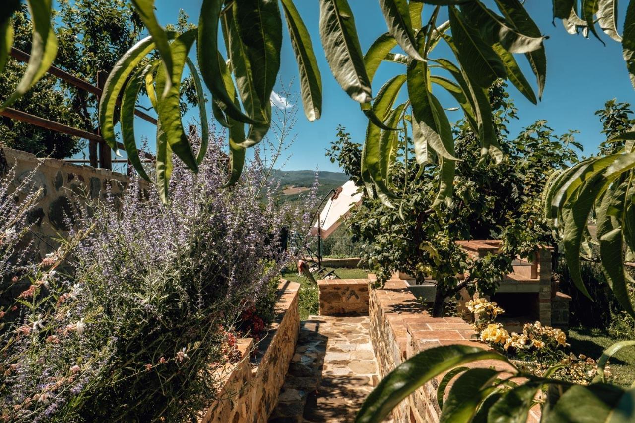 Ferienwohnung Little Val D'Orcia Montenero d'Orcia Exterior foto