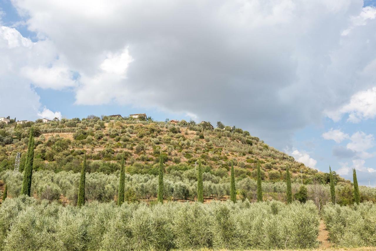 Ferienwohnung Little Val D'Orcia Montenero d'Orcia Exterior foto