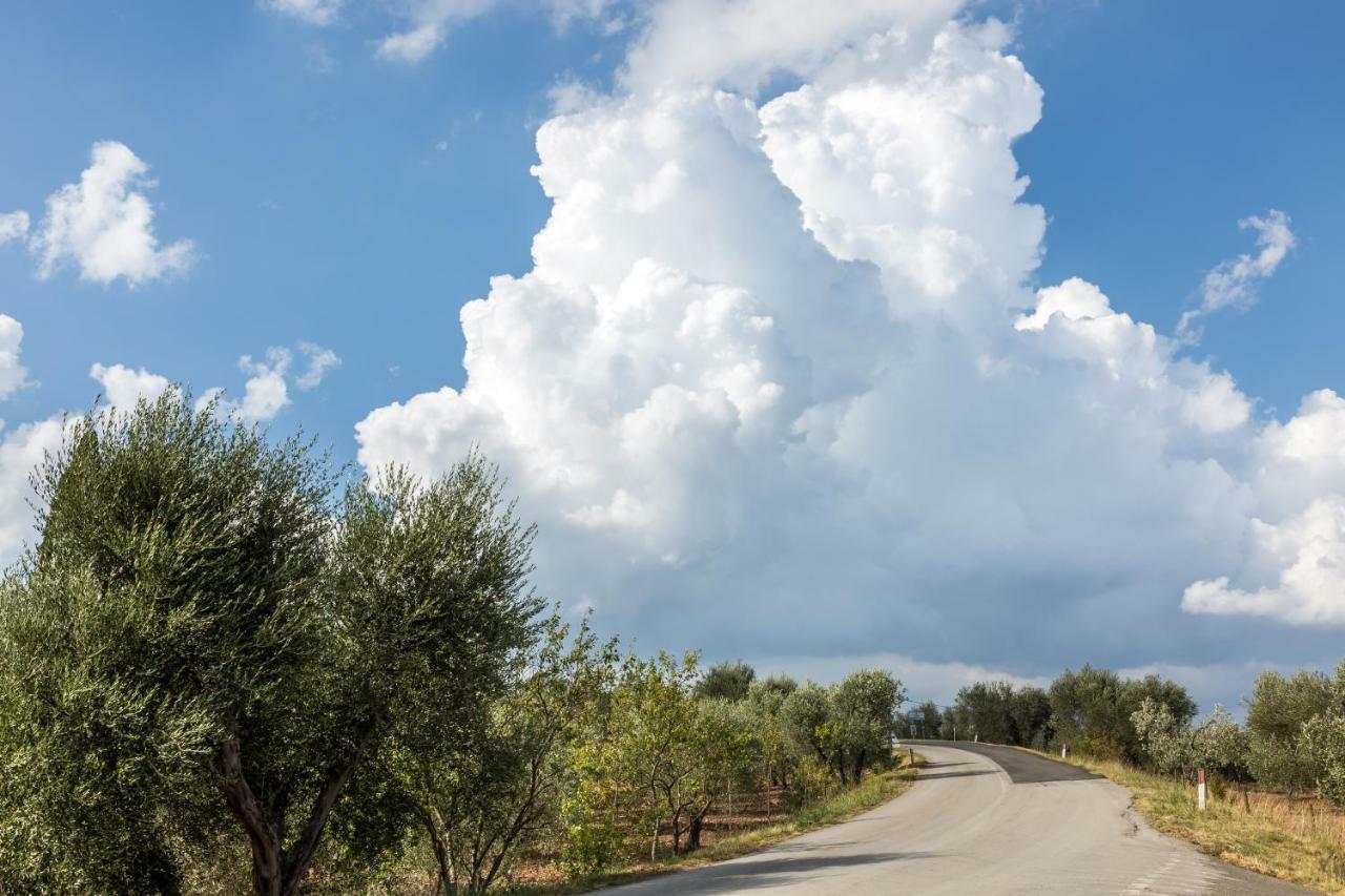 Ferienwohnung Little Val D'Orcia Montenero d'Orcia Exterior foto