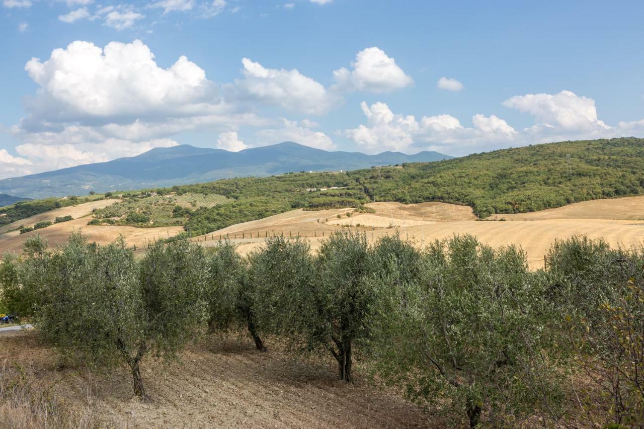 Ferienwohnung Little Val D'Orcia Montenero d'Orcia Exterior foto